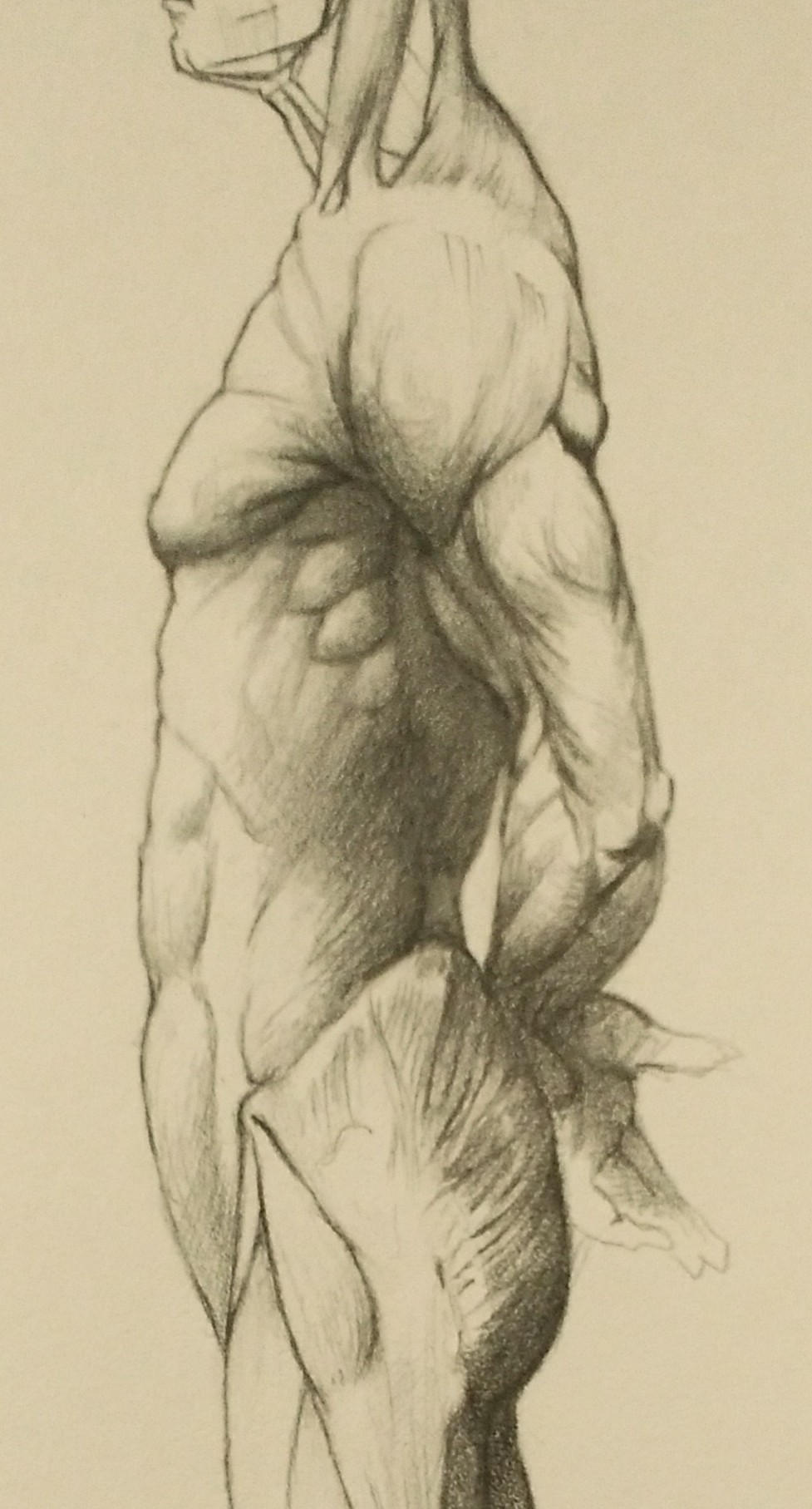 Artwork by John Murray