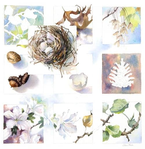 Cycle of Life by Alice Kale