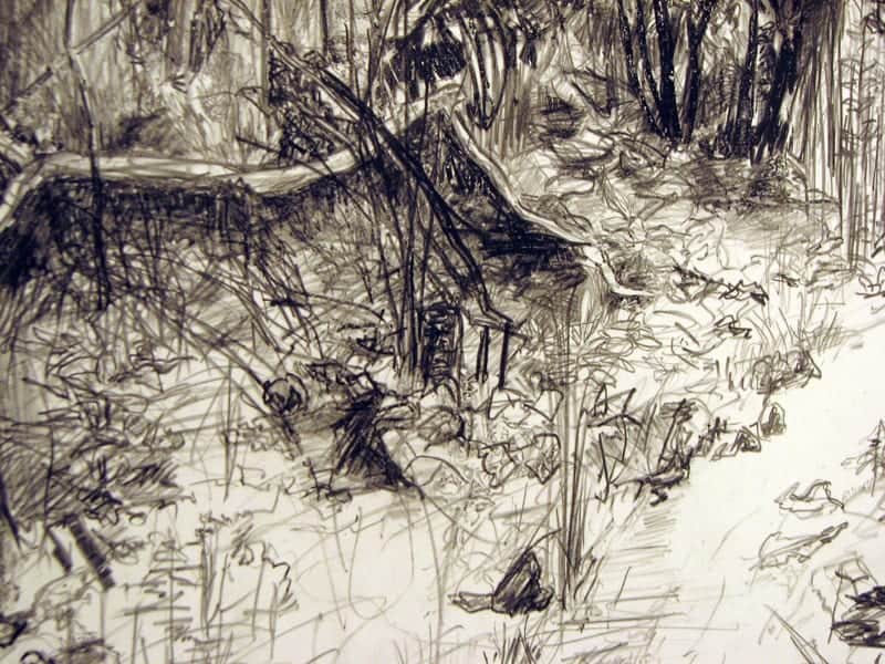 Detail from "Burrow Hill" by Amanda Nicholas, winner of the Gallery Director's Award for best in show.