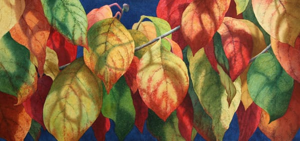 Leaves and Shadows by Rachel Collins. (click for full size)