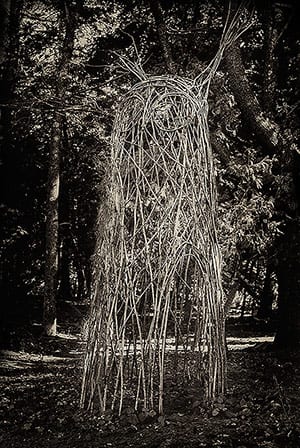 The Seer, photograph by Nancy Howren