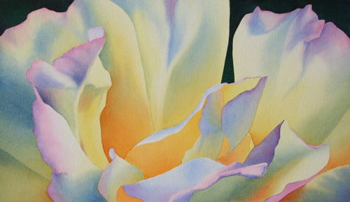 Rose Glow VII by Rachel Collins. (click for full size)