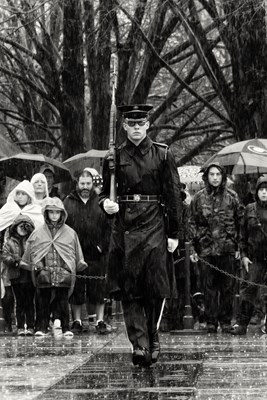 The Old Guard Sentinel Tomb of the Unknown in the Rain, Photography, Paul Seymour
