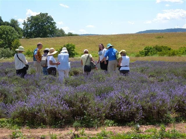 Willow Pond Farm tour