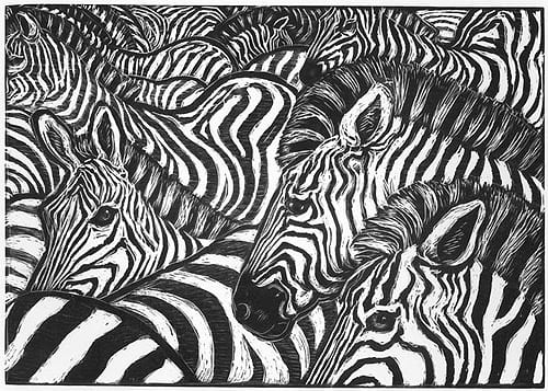 Zebras - Rosemary Covey
