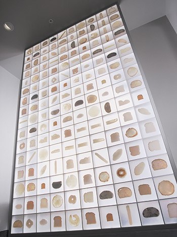 Grain by Grain; Bread, resin and aluminum; by Andy Yoder. At the Cleveland Food Bank. 