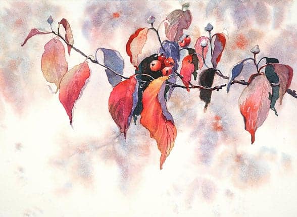 October Dogwood by Gwendolyn Bragg, winner of the Carolyn Zakaski Watercolor Award. (click for a larger image)
