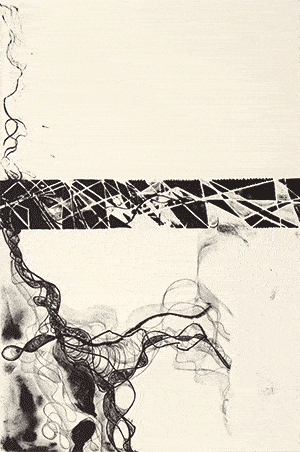 Initial Eruption #1 and #2. The second image has been rotated to illustrate the different layers.