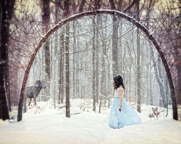 Marisa White's Birth of the Search won the 60th Anniversary Award for Best in Show.