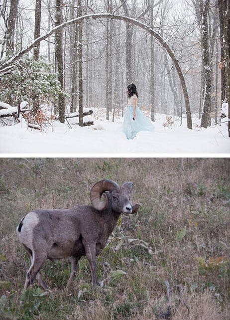 Two original images that make up Marisa White's Birth of the Search