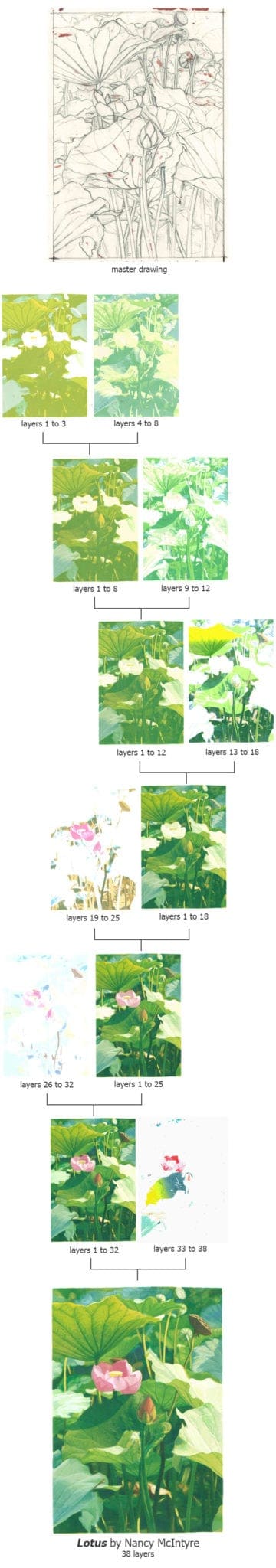 Lotus printer's proofs and final image