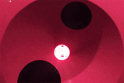 Animated gif view of Dots Obsession—Love Transformed into Dots by Yayoi Kusama