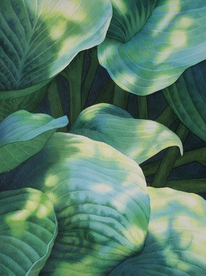by Rachel Collins