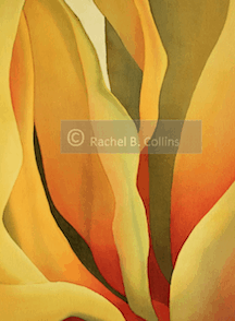 Rachel Collins - Yellow Tulip Canyon