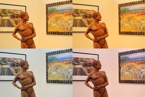Four unedited photos with the white balance set to (clockwise from top left) daylight, cloudy, fluorescent, and tungsten. In this case, tungsten is closest to making the white walls white.